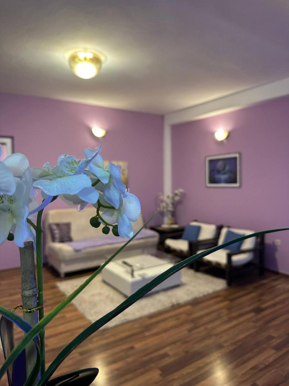מוסטר Riaho Apartment מראה חיצוני תמונה